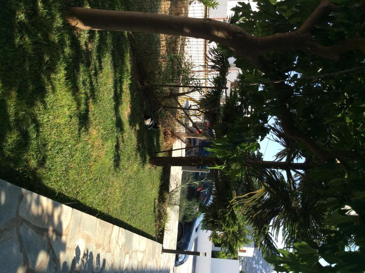 סקירוס Eleana Studios מראה חיצוני תמונה
