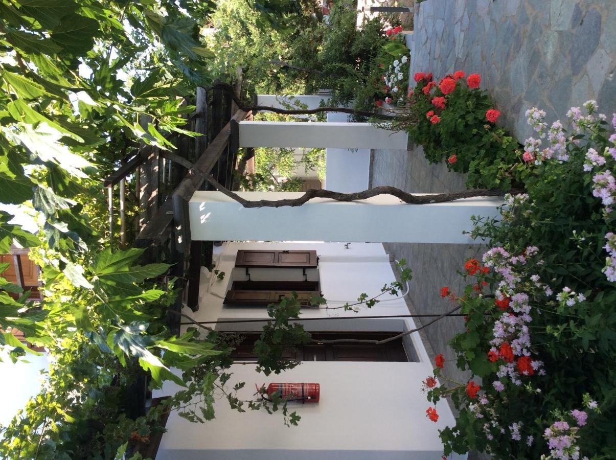 סקירוס Eleana Studios מראה חיצוני תמונה