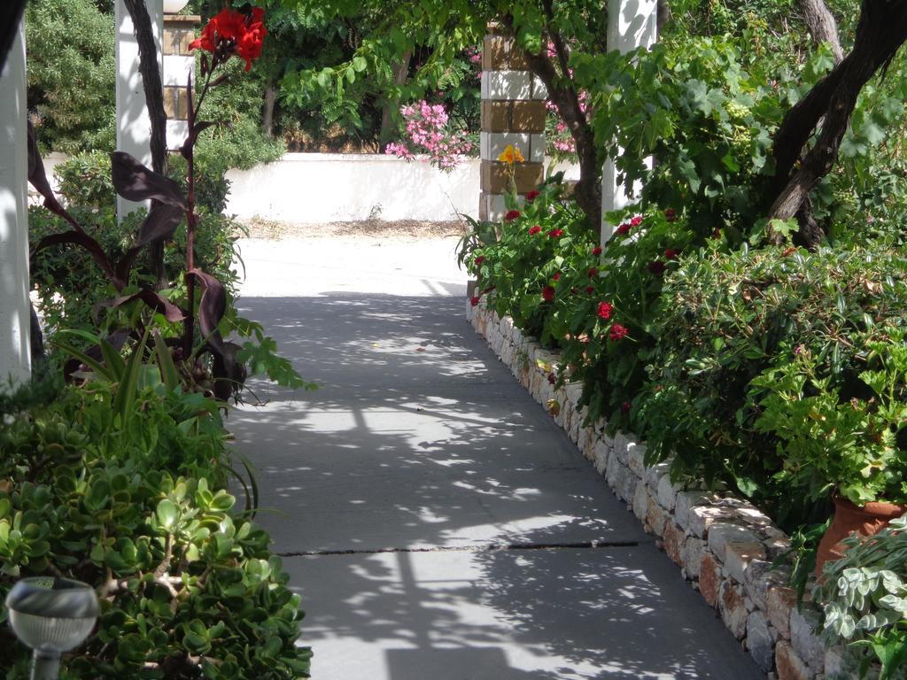 סקירוס Eleana Studios מראה חיצוני תמונה