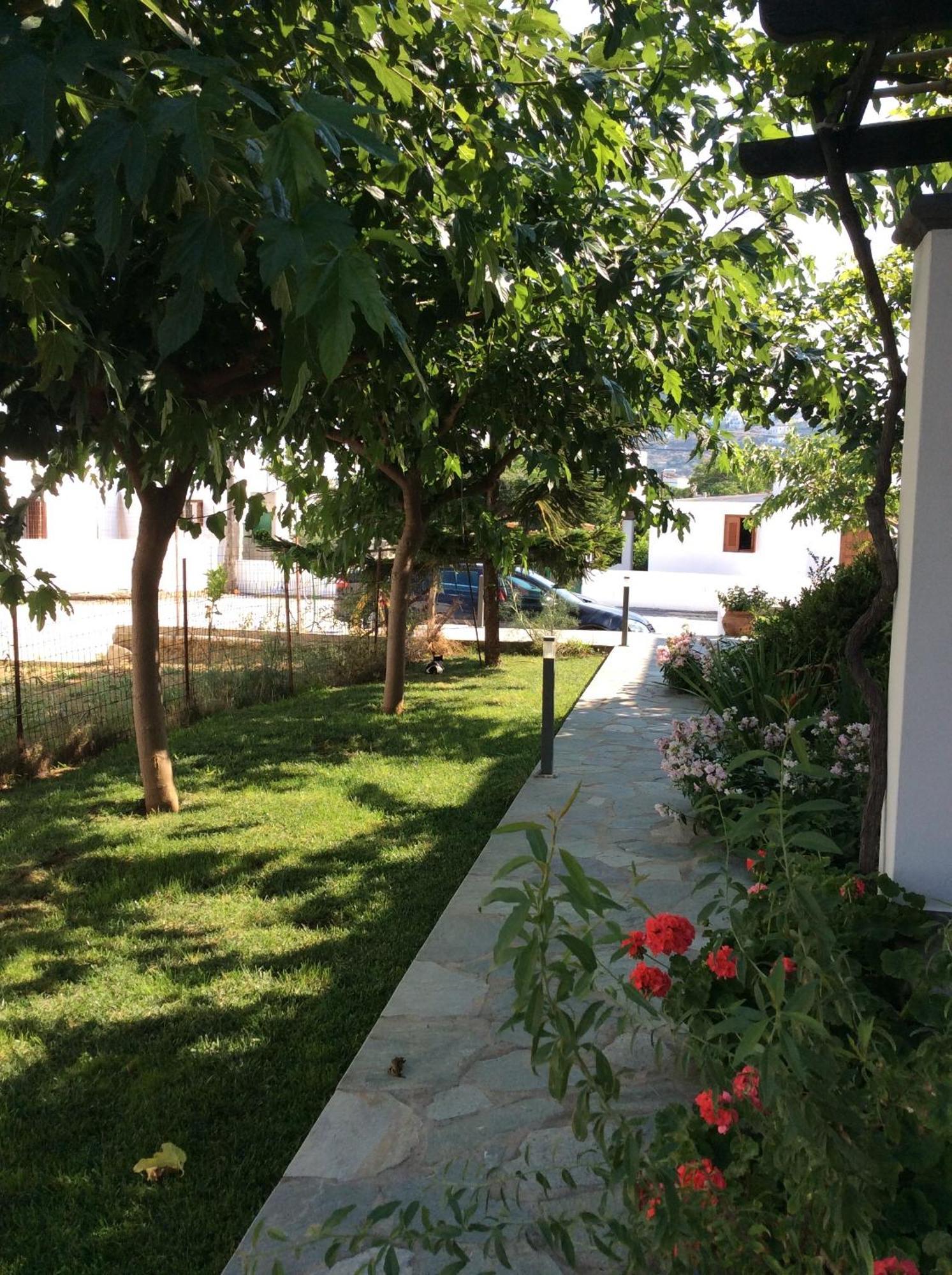 סקירוס Eleana Studios חדר תמונה