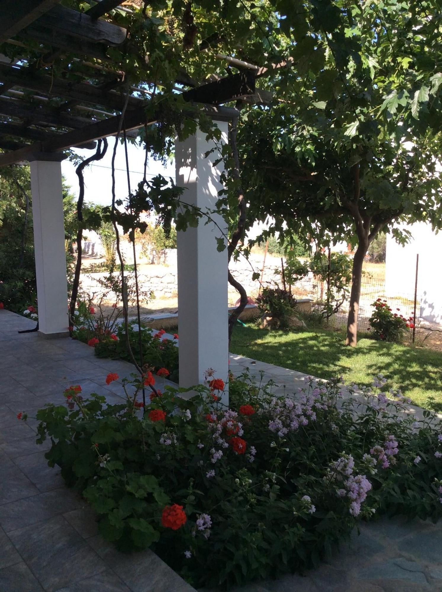 סקירוס Eleana Studios מראה חיצוני תמונה