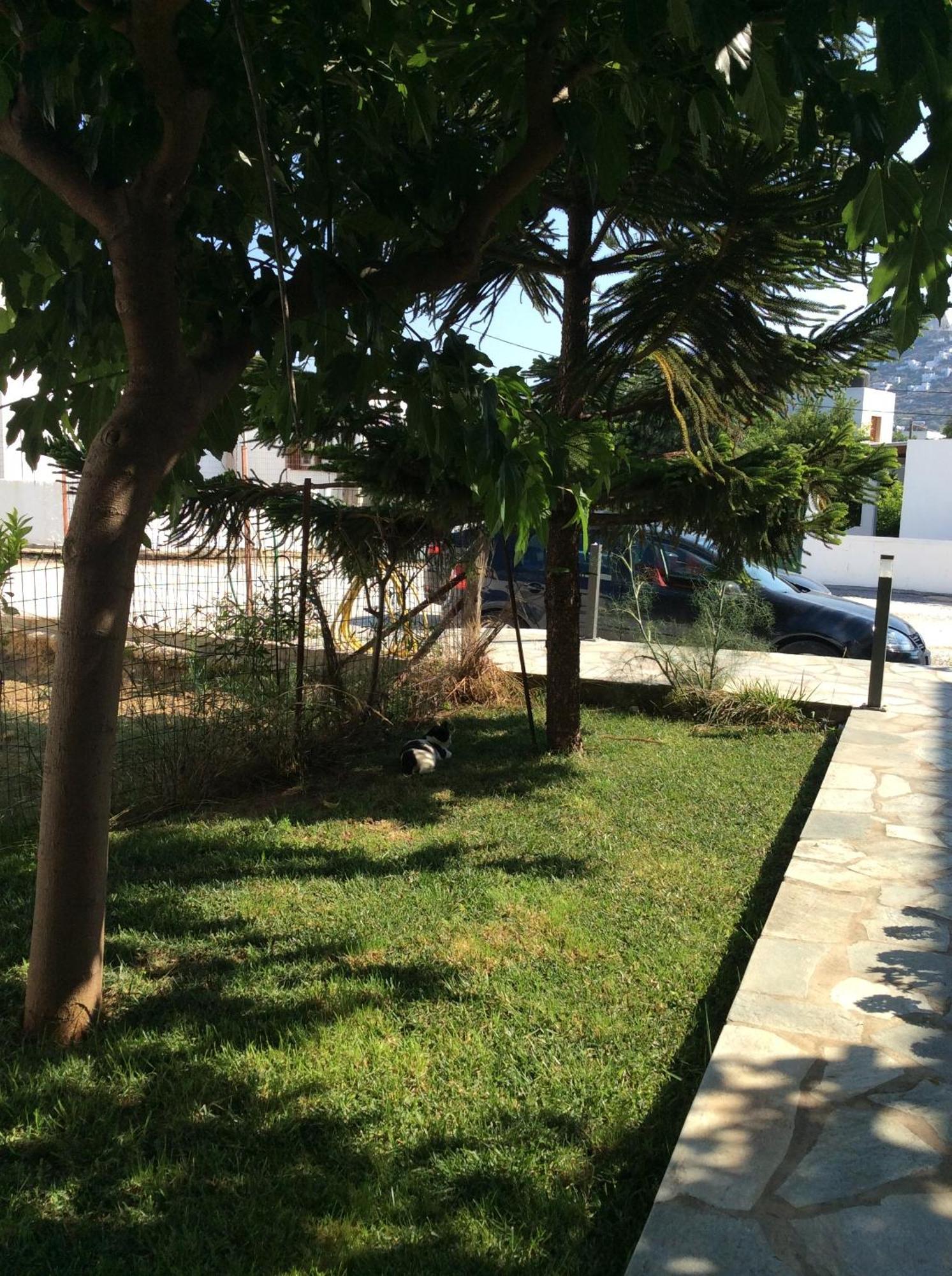 סקירוס Eleana Studios מראה חיצוני תמונה